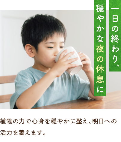 一日の終わり、穏やかな夜の休息に